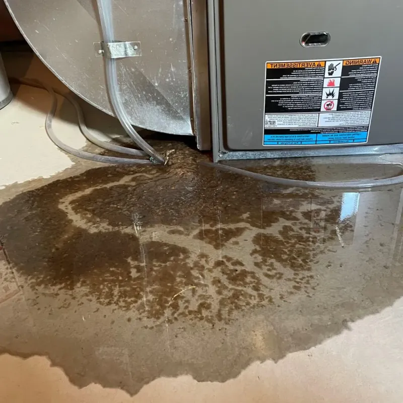 Pipe Burst and Leak Restoration in Santa Ana, CA