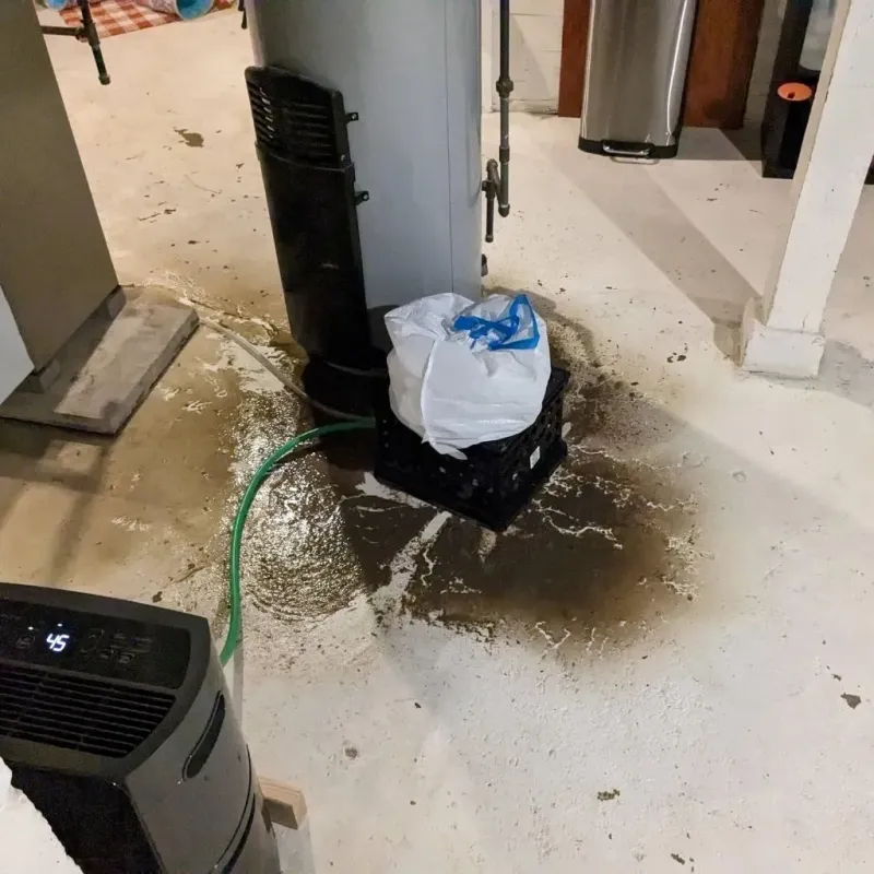 Sewage Backup Cleanup Service in Santa Ana, CA
